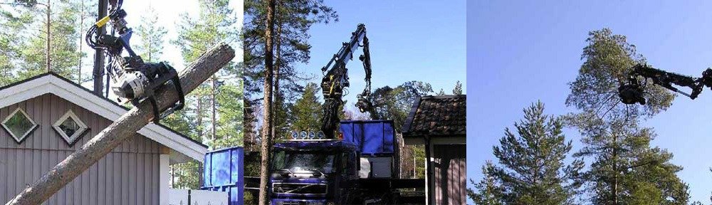 Trädfällning och skogsavverkning med gripsåg på lyftkran